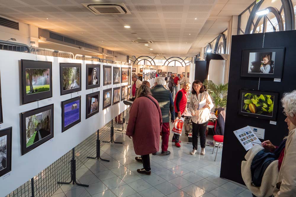 rvi 2019-12